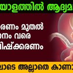 ഗർഭധാരണം മുതൽ ജനനം വരെയുള്ള ദൃശ്യങ്ങൾ | Visualization of pregnancy to birth