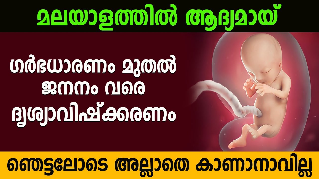 ഗർഭധാരണം മുതൽ ജനനം വരെയുള്ള ദൃശ്യങ്ങൾ | Visualization of pregnancy to birth